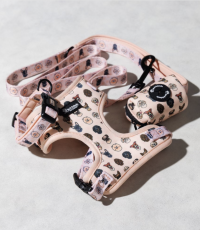 Screenshot at Jan 21 21-24-07